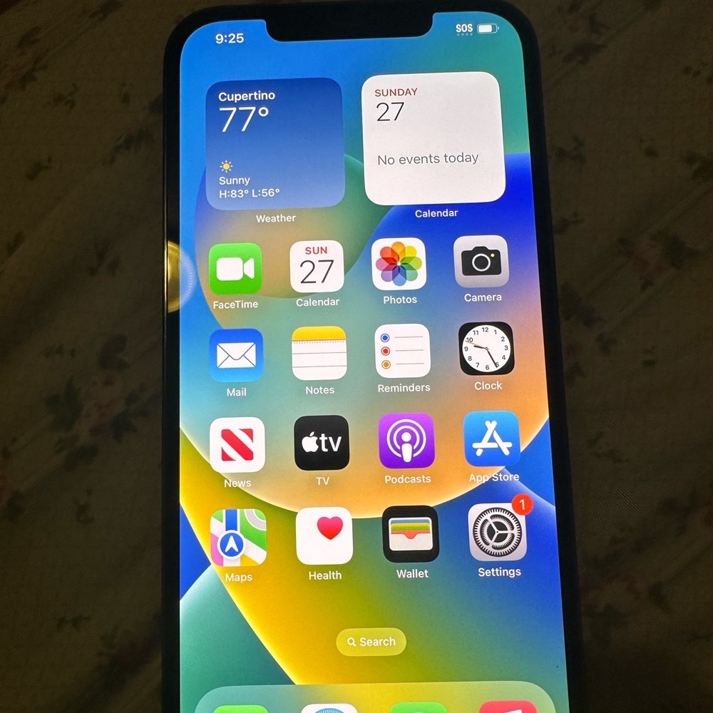 iPhone 12 Pro Max Unlocked